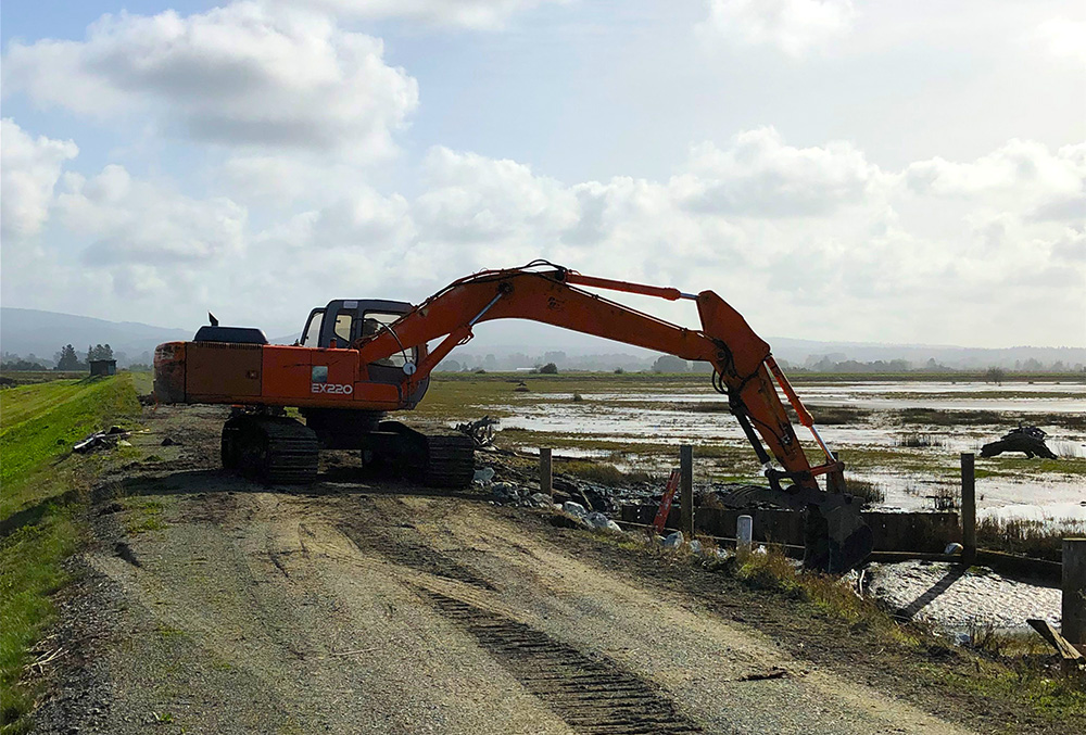 TRICO Repairs Fir Island Levee