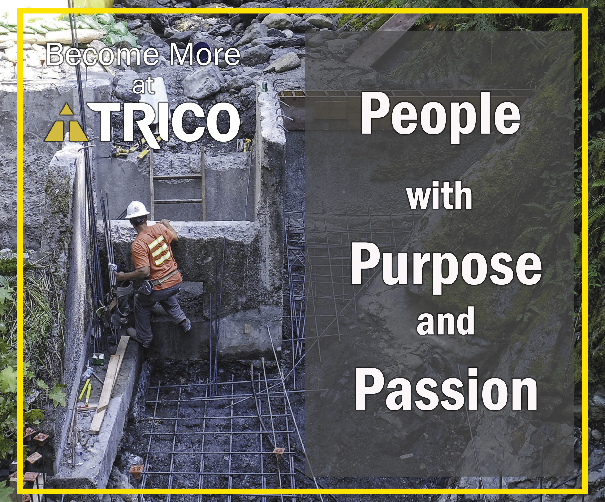 Trico Hiring promotion