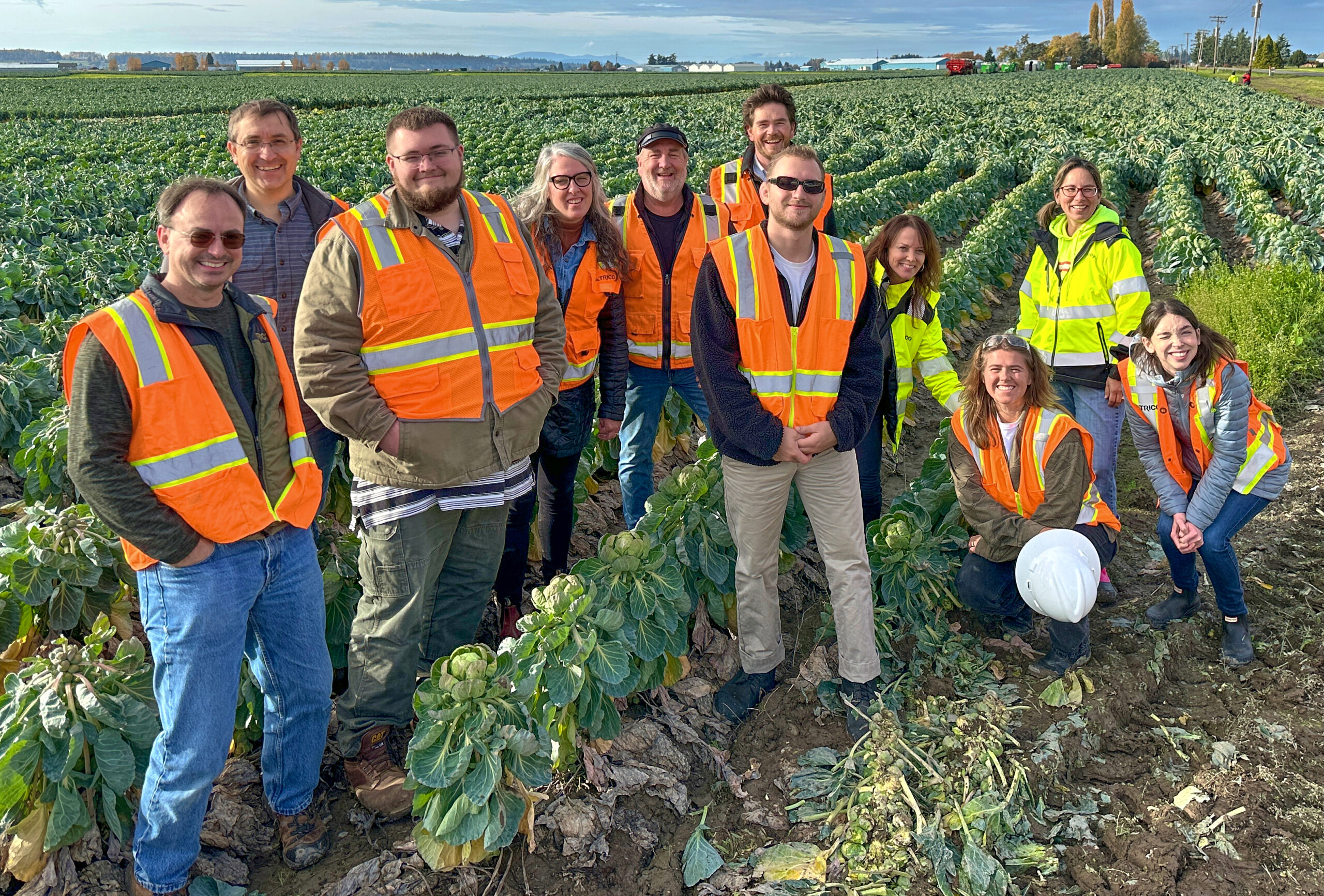 trico staff in at skagit valley farm