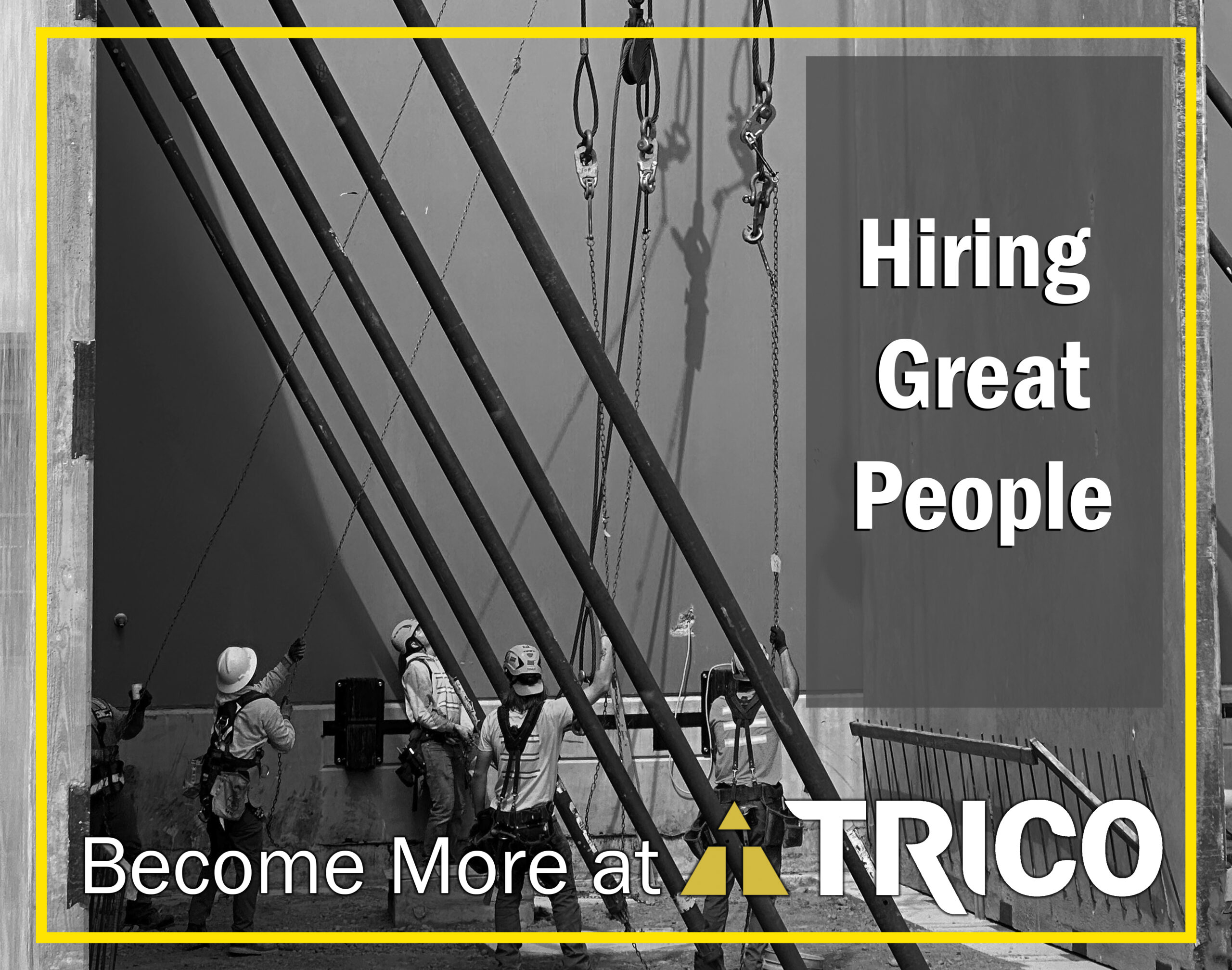 Trico Hiring promotion