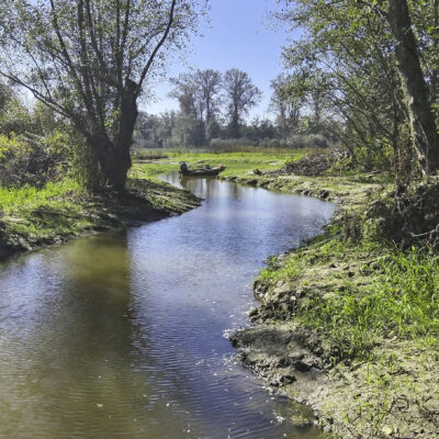 Milltown Island Estuary Restoration